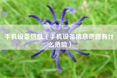 手机设备信息（手机设备信息泄露有什么危险）
