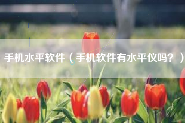 手机水平软件（手机软件有水平仪吗？）
