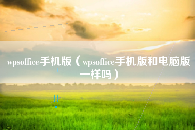 wpsoffice手机版（wpsoffice手机版和电脑版一样吗）