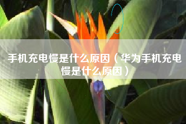 手机充电慢是什么原因（华为手机充电慢是什么原因）