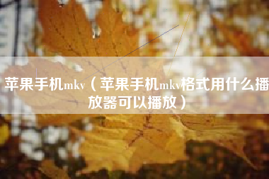 苹果手机mkv（苹果手机mkv格式用什么播放器可以播放）