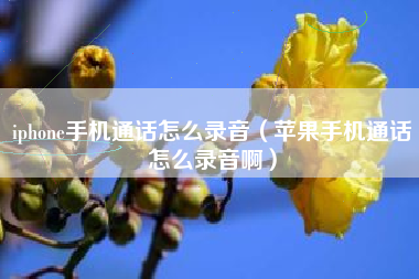 iphone手机通话怎么录音（苹果手机通话怎么录音啊）