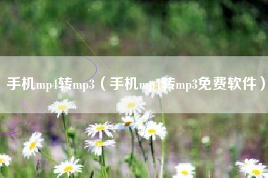 手机mp4转mp3（手机mp4转mp3免费软件）
