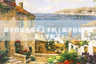 蓝牙音箱连接不上手机（蓝牙音箱连接不上手机了）