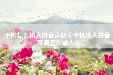 手机怎么输入拼音声调（手机输入拼音声调怎么输入）