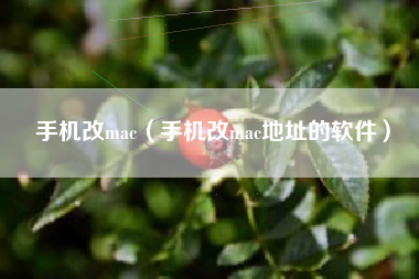 手机改mac（手机改mac地址的软件）