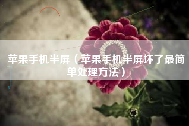 苹果手机半屏（苹果手机半屏坏了最简单处理方法）