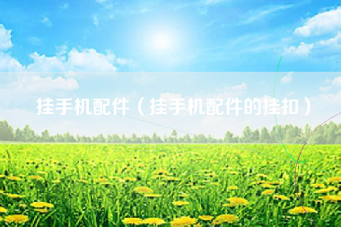 挂手机配件（挂手机配件的挂扣）