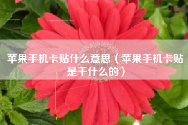 苹果手机卡贴什么意思（苹果手机卡贴是干什么的）
