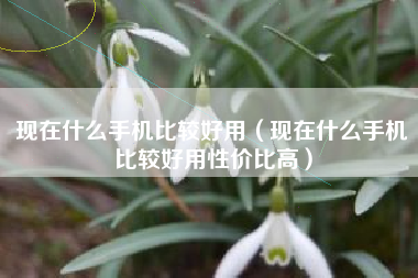 现在什么手机比较好用（现在什么手机比较好用性价比高）