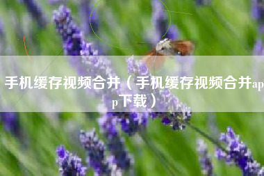 手机缓存视频合并（手机缓存视频合并app下载）