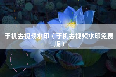 手机去视频水印（手机去视频水印免费版）