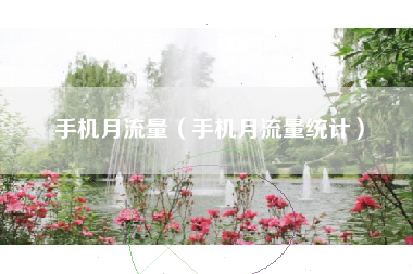 手机月流量（手机月流量统计）