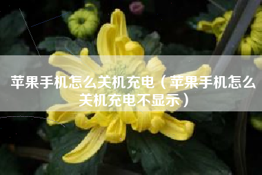 苹果手机怎么关机充电（苹果手机怎么关机充电不显示）