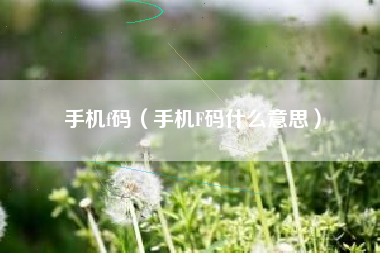 手机f码（手机F码什么意思）