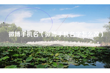 微博手机名（微博手机名字怎么改）