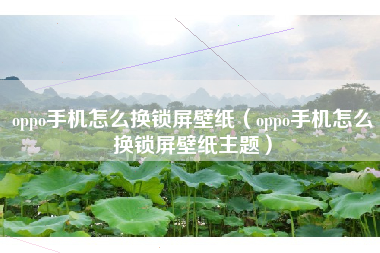 oppo手机怎么换锁屏壁纸（oppo手机怎么换锁屏壁纸主题）