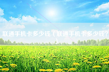 联通手机卡多少钱（联通手机卡多少钱？）