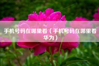 手机号码在哪里看（手机号码在哪里看华为）