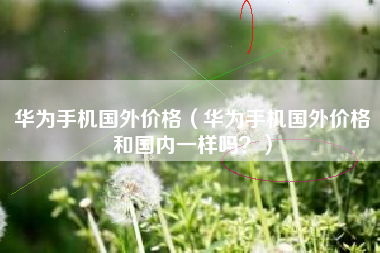 华为手机国外价格（华为手机国外价格和国内一样吗？）