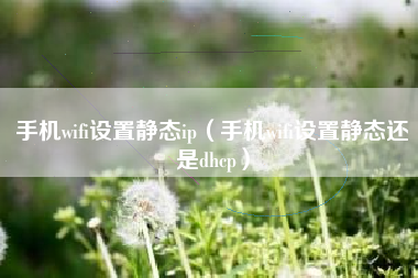 手机wifi设置静态ip（手机wifi设置静态还是dhcp）
