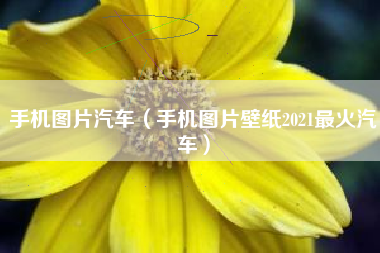 手机图片汽车（手机图片壁纸2021最火汽车）