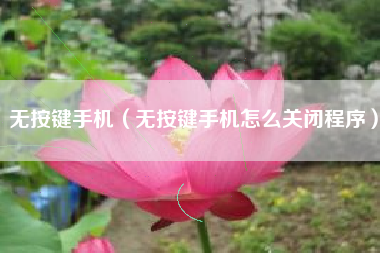 无按键手机（无按键手机怎么关闭程序）