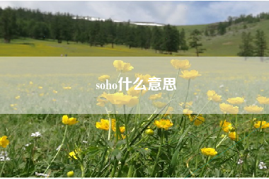 soho什么意思