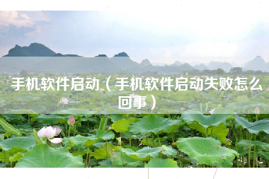 手机软件启动（手机软件启动失败怎么回事）