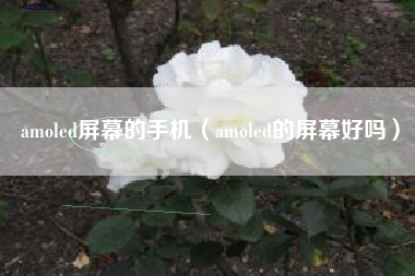 amoled屏幕的手机（amoled的屏幕好吗）