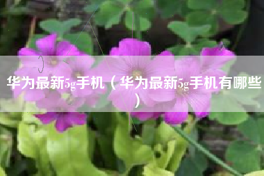 华为最新5g手机（华为最新5g手机有哪些）