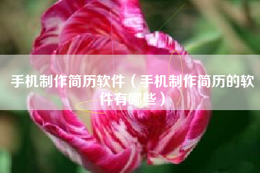 手机制作简历软件（手机制作简历的软件有哪些）