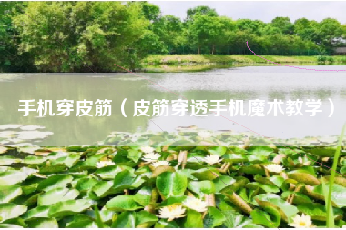 手机穿皮筋（皮筋穿透手机魔术教学）