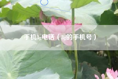 手机3g电话（3g的手机号）