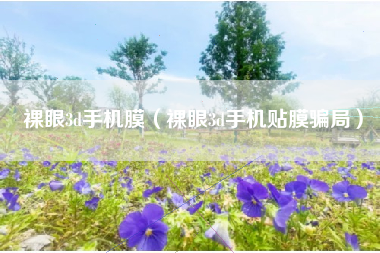 裸眼3d手机膜（裸眼3d手机贴膜骗局）