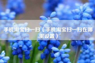 手机淘宝扫一扫（手机淘宝扫一扫在哪里设置）