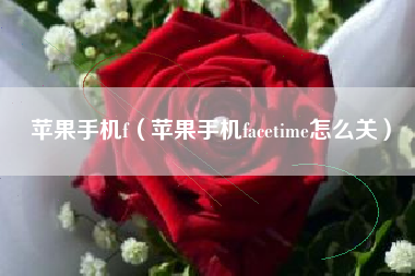 苹果手机f（苹果手机facetime怎么关）