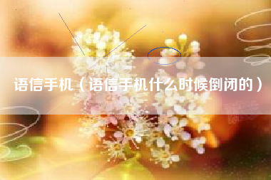 语信手机（语信手机什么时候倒闭的）