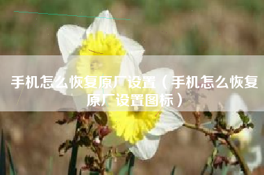 手机怎么恢复原厂设置（手机怎么恢复原厂设置图标）
