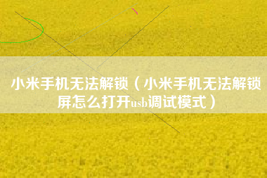 小米手机无法解锁（小米手机无法解锁屏怎么打开usb调试模式）