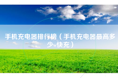 手机充电器排行榜（手机充电器最高多少w快充）