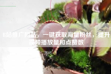B站推广网站，一键获取海量粉丝，提升视频播放量和点赞数