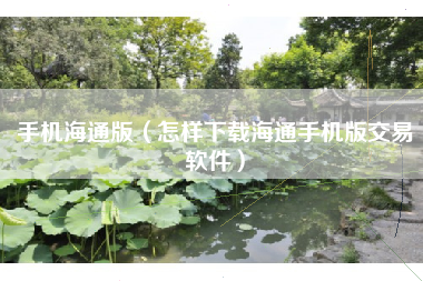 手机海通版（怎样下载海通手机版交易软件）
