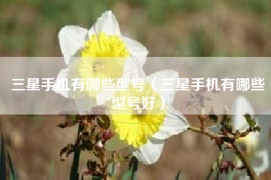 三星手机有哪些型号（三星手机有哪些型号好）
