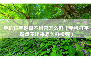 手机打字键盘不出来怎么办（手机打字键盘不出来怎么办视频）