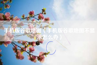 手机版谷歌地图（手机版谷歌地图不显示怎么办）