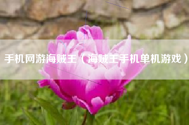 手机网游海贼王（海贼王手机单机游戏）