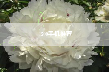 1500手机推荐