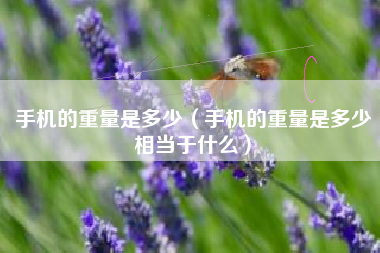 手机的重量是多少（手机的重量是多少相当于什么）