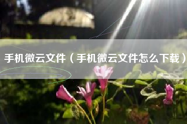 手机微云文件（手机微云文件怎么下载）